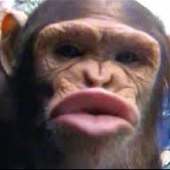 Meet your Posher, Chase - Picture 1 of 1